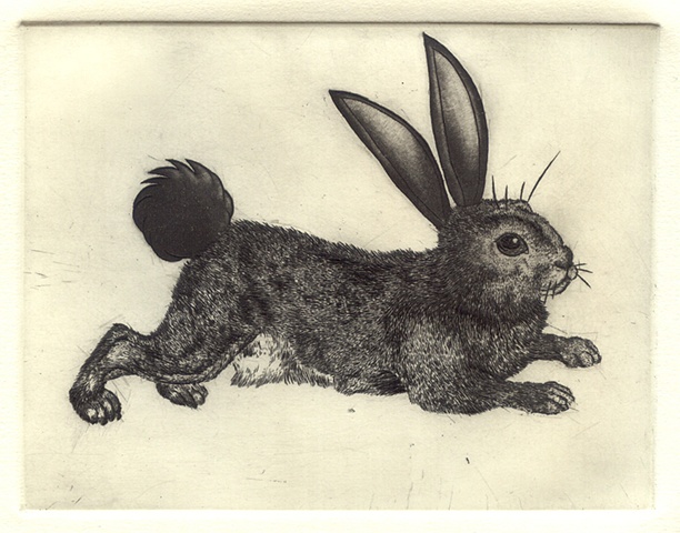 Haigha Bugsy Rabbit
