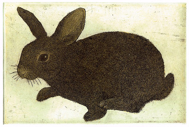 Hop etching and aquatint Rabbit