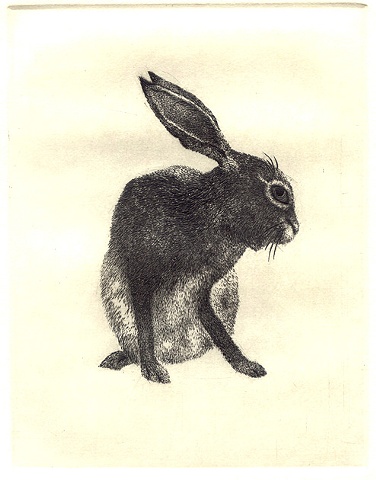 Bob the hare