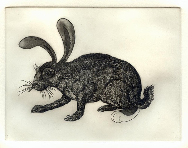 from a series Rabbit Rabbit Rabbit
