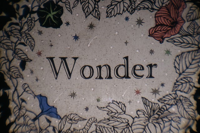 Wonder