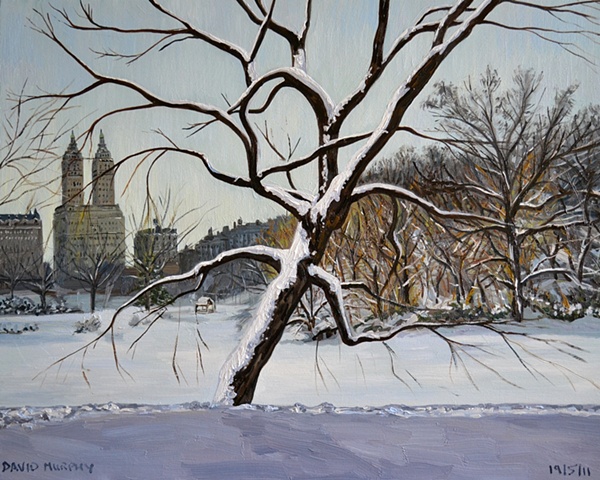 Central Park In The Snow, david brendan murphy, cypher, the panic artist, dublin, ireland, irish