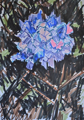 flower, drawing, markers, artwork, David Murphy, contemporary, Ireland, Irish