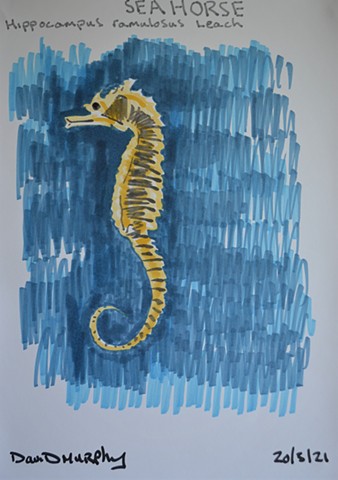 sea horse, markers, drawing, artwork, David Murphy, contemporary, Ireland, Irish