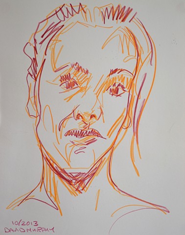 Unimpressed Woman, 2013, coloured pencils, drawing, david murphy