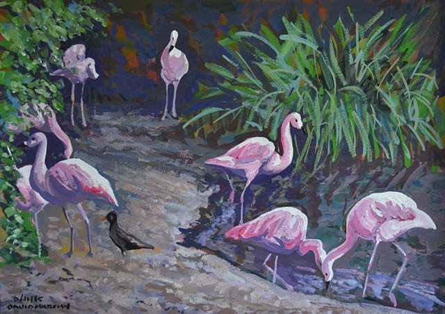 Chilean Flamingos No. 2, zoo, gouache and watercolour, david murphy