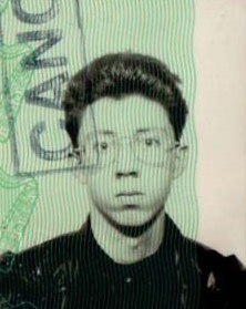 David Murphy's Passport Photo