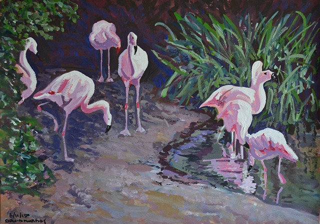 Chilean Flamingos No. 1, zoo, gouache and watercolour, david murphy