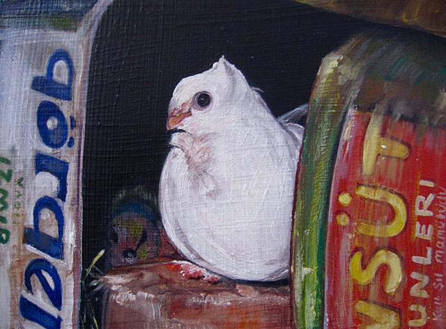 Gabrielle Reeves: White Pigeon