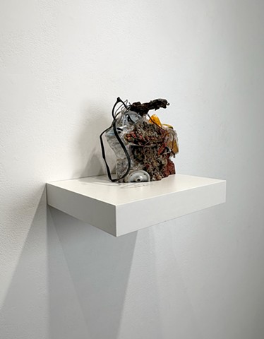 Untitled (Shelf 2)