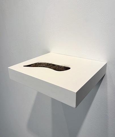Untitled (Squirrel Tail)
