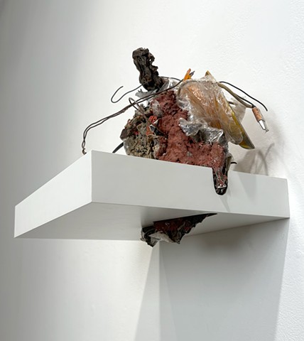 Untitled (Shelf 2)