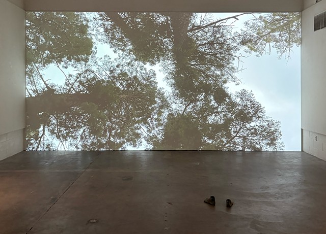 Untitled (Bronze Feet). In front of, Untitled (Sky Video – Near Cloud Croft, NM)