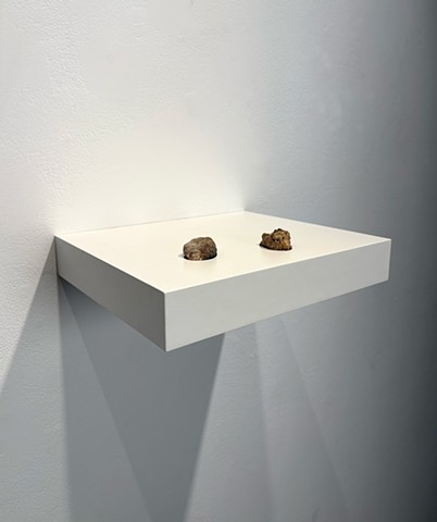 Untitled (Rocks from NNSS)