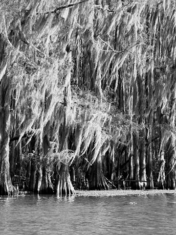 Basket at Caddo Lake