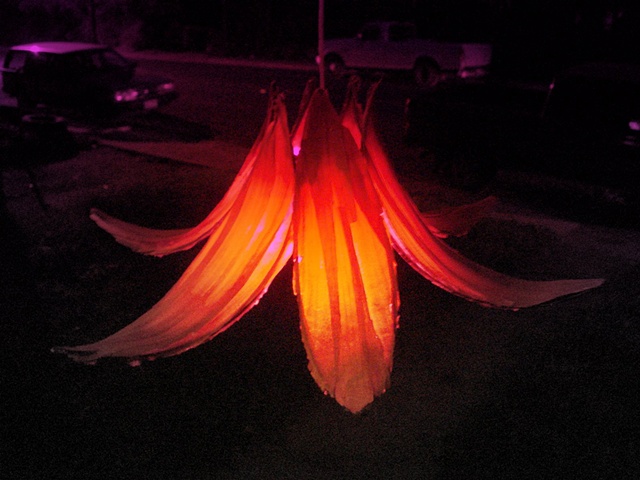 Cedar Fuschia Light