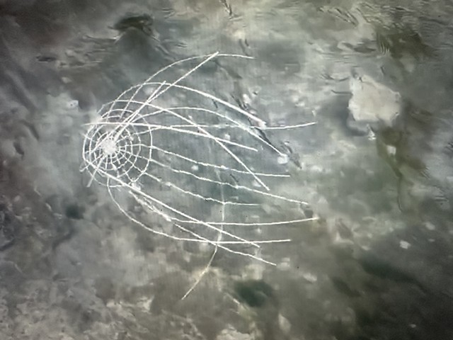 Baskets Exploring Texas Waterways