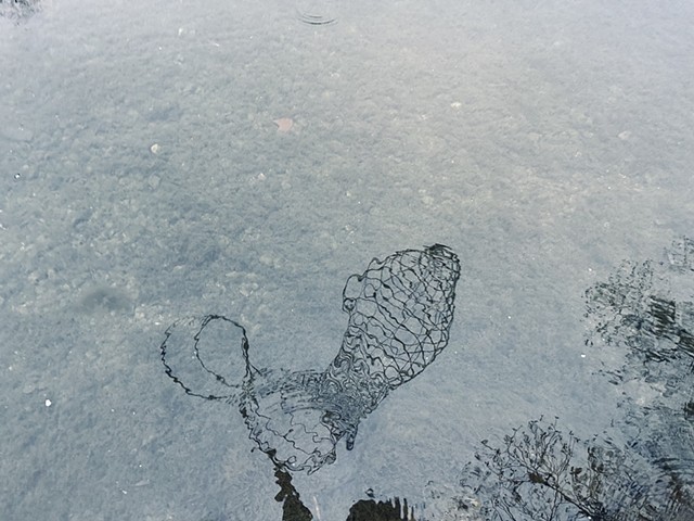 Barton Creek (Austin, TX)