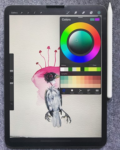 Opening myself up to all of the possibilities that digital art making can offer! Here, I am drawing on a scan of one of my watercolor paintings, figuring out what adjustments I'd like to make. Penland Residency 2020
