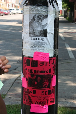 Lost Flyers