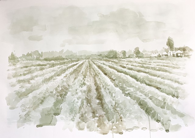 Celery Fields, 1945 Decatur MI