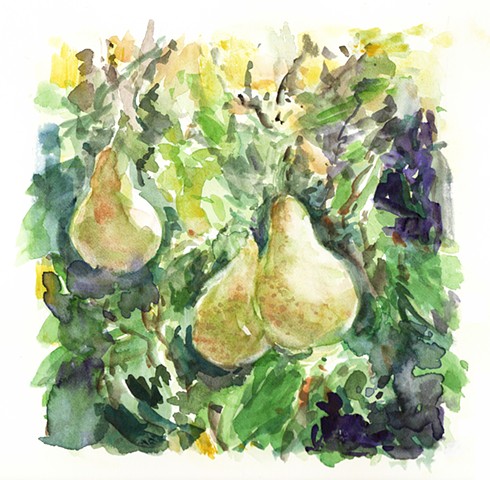 Pears