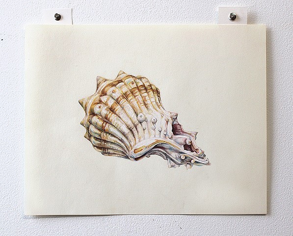 AI Generated Seashell No.4