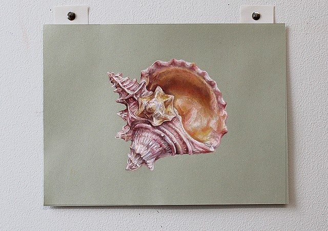 AI Generated Seashell No.3