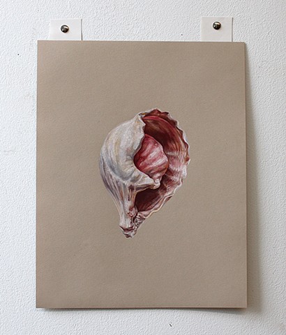 AI Generated Seashell No. 2