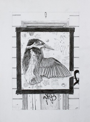 Kingfisher Study (Second Place, Teton County Fair)