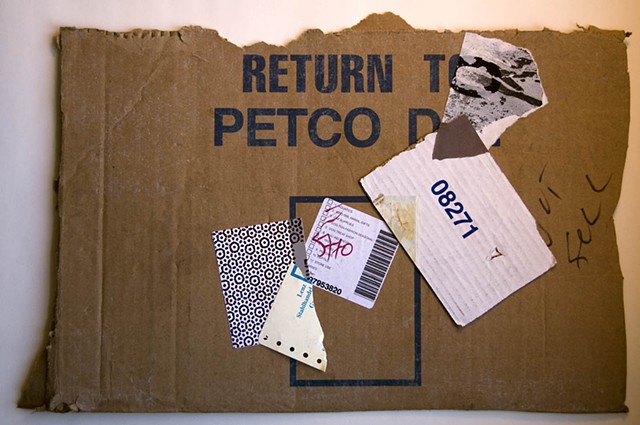 Return to Petco D.C. II
