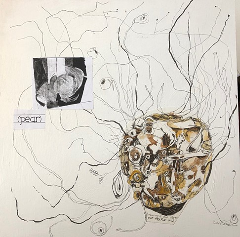 sketched celeriac right, collaged pear upper left