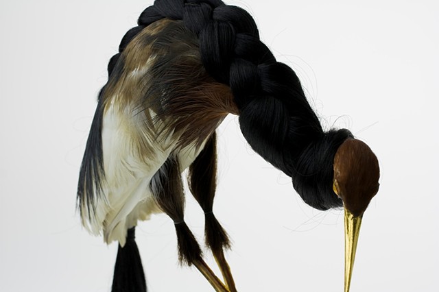 Photo of taxidermy by Karley Feaver