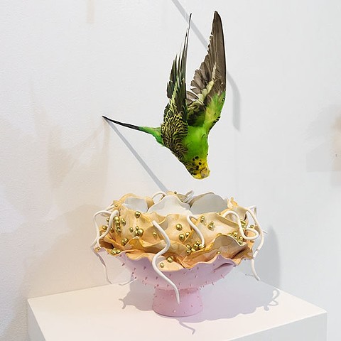 Taxidermy Art by Karley Feaver