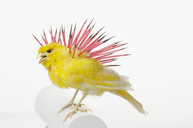Surreal Sculpture by Karley Feaver