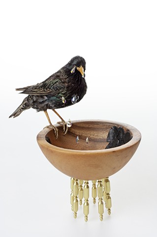 Taxidermy Art by Karley Feaver