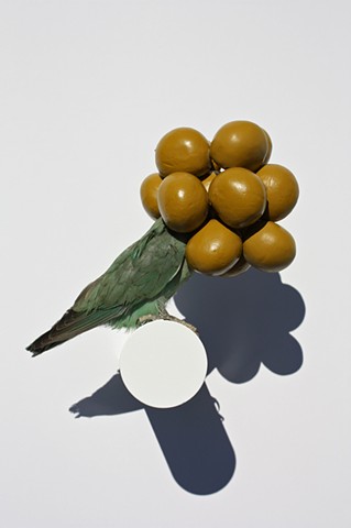 Sculpture of Taxidermy Karley Feaver by Karley Feaver