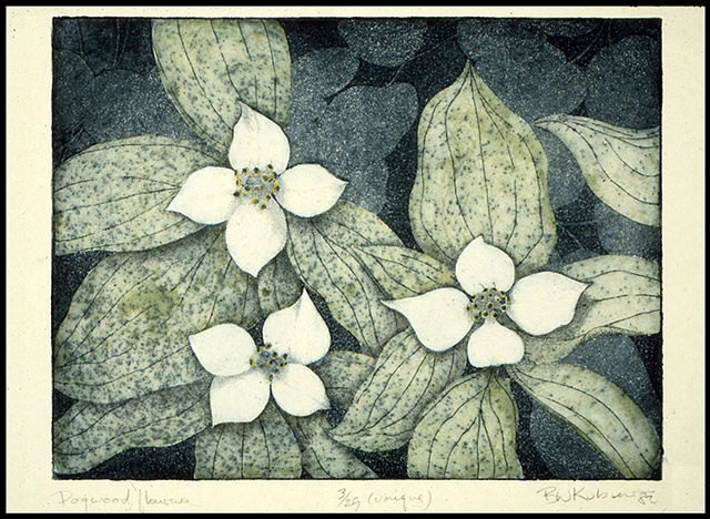 Dogwood Flowers