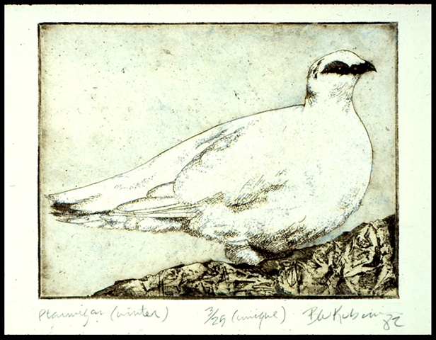 Ptarmigan