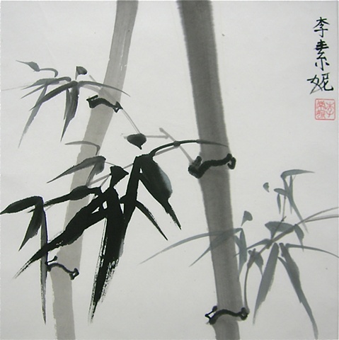 Bamboo, Small Square