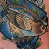 Matching Lady & Gent Birds by Kitty Dearest 