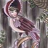 Bird Folk - Lady by Kitty Dearest.