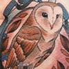 Barn Owl by Kitty Dearest