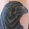 Mr Raven by Kitty Dearest