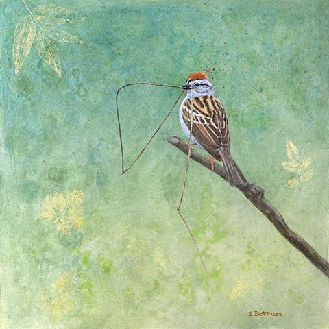 Sparrow, chipping sparrow, backyard bird, garden bird, Sue Betanzos, acrylic bird painting, bird art, gold painting, wildlife art