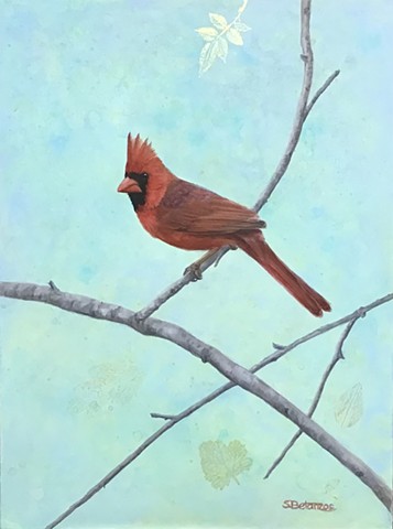 American cardinal, garden birds, songbirds, Sue Betanzos, red birds, wildlife painting, bird paintings