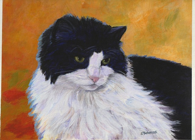 cat portrait, black and white cat portrait, cat pet portrait, sue betanzos art, 