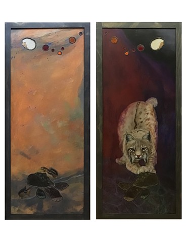 Wildlife art, Bobcat portrait, modern wildlife, contemporary realism, sue betanzos, contemporary wildlife, mix media wildlife