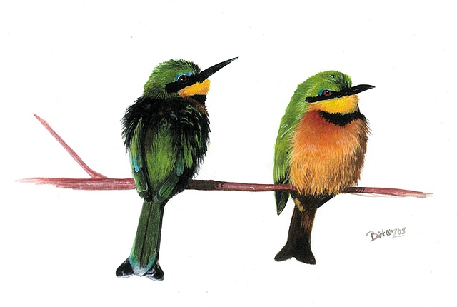 African Bee Eaters watercolor painting, sue betanzos, bird painting, african bee eaters painting, african bird painting, african wildlife painting