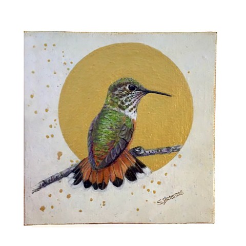 Miniature Rufous Hummingbird Painting, Miniature bird painting, miniature hummingbird painting, Sue Betanzos, bird migration, Rufous Hummingbird